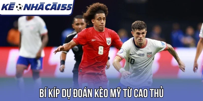 Bí kíp dự đoán kèo Mỹ từ cao thủ