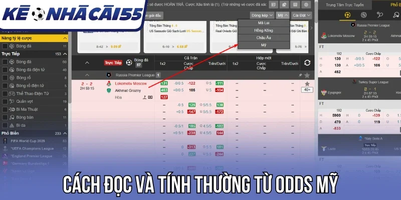 Cách đọc và tính thường từ odds Mỹ