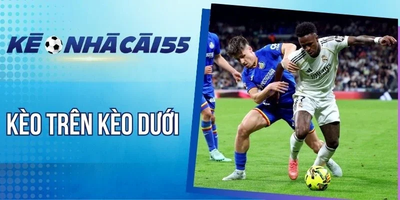 Sử dụng bảng xếp hạng chốt kèo trên kèo dưới