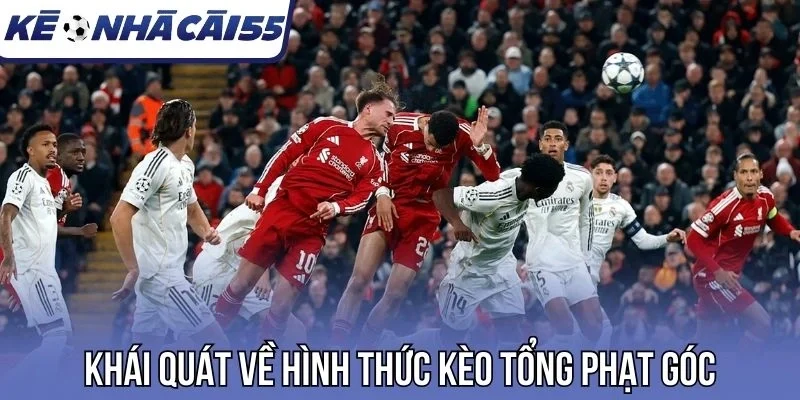 Khái quát về hình thức kèo tổng phạt góc