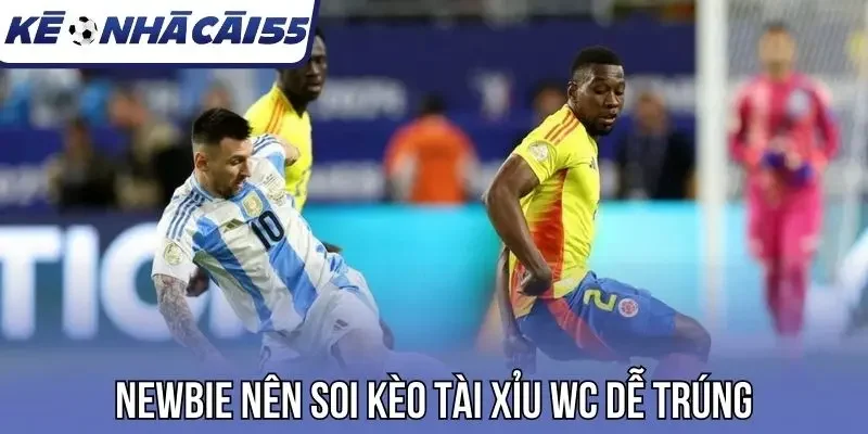Newbie nên soi kèo tài xỉu WC dễ trúng