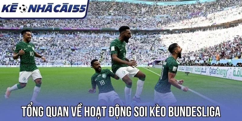 Tổng quan về hoạt động soi kèo Bundesliga