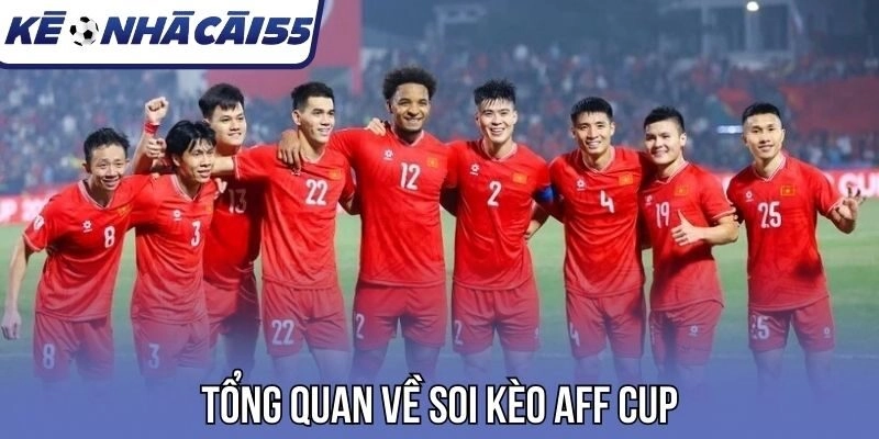 Tổng quan về soi kèo AFF Cup