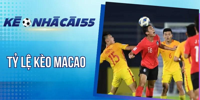 Kinh nghiệm soi odds Macao hiệu quả