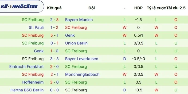 Kết quả những lần ra sân vừa qua của Freiburg
