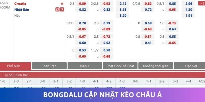 Những tỷ lệ kèo được Bongdalu cung cấp hiện nay