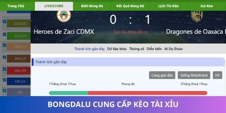 Bongdalu cung cấp tỷ lệ tài xỉu đơn giản và dễ trúng