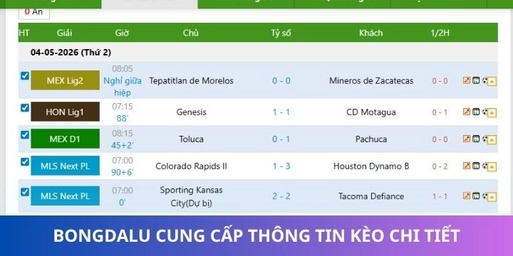 Trang Bongdalu cập nhật thông tin kèo đấu uy tín