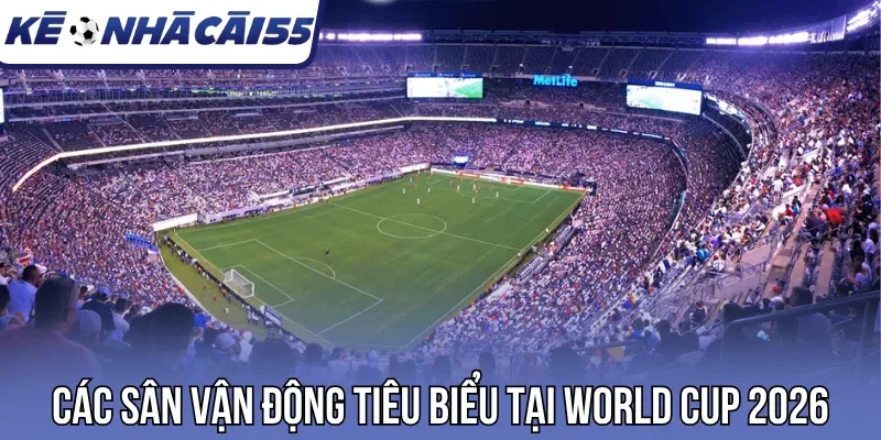 Các sân vận động tiêu biểu tại World Cup 2026
