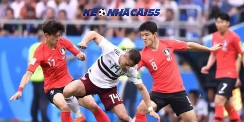 Cập nhật tỷ lệ kèo Châu Âu trận Mexico vs Hàn Quốc