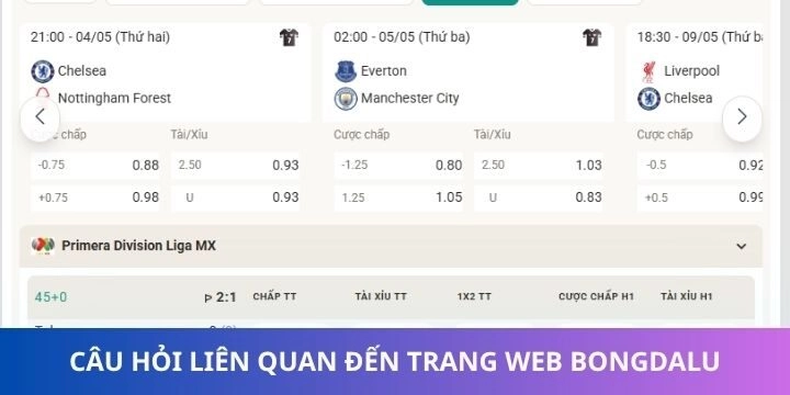 Một số câu hỏi thường gặp về trang web uy tín Bongdalu