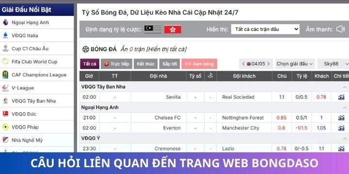 Câu hỏi thường gặp khi sử dụng dịch vụ trên Bongdaso
