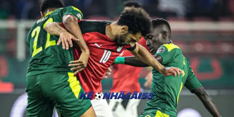 Đội hình và sơ đồ dự kiến của New Zealand vs Ai Cập