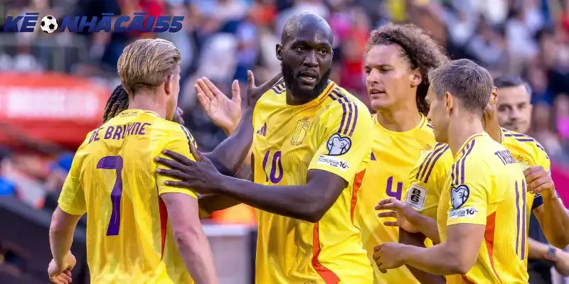 Đội hình và sơ đồ dự kiến của New Zealand vs Bỉ