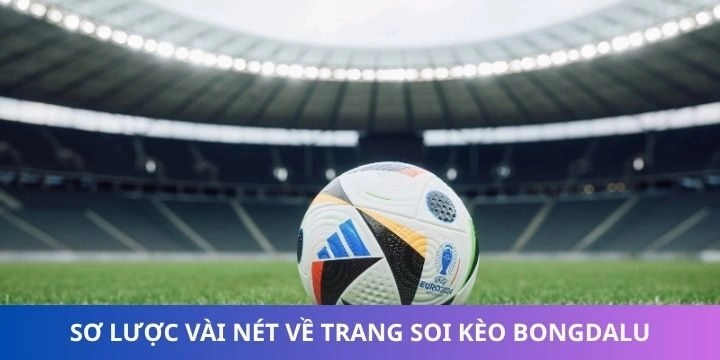 Bongdalu mang đến dịch vụ bóng đá đầy đủ và uy tín