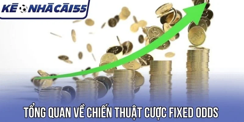 Tổng quan về chiến thuật cược Fixed Odds