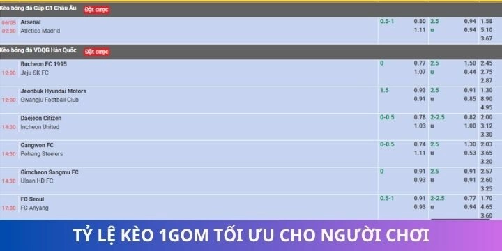 Danh mục tỷ lệ kèo được 1gom sắp xếp trực quan, khoa học