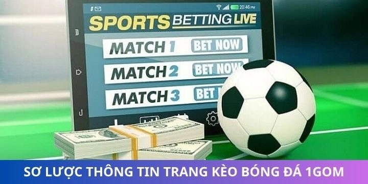 Thông tin cơ bản về trang cá cược bóng đá 1gom